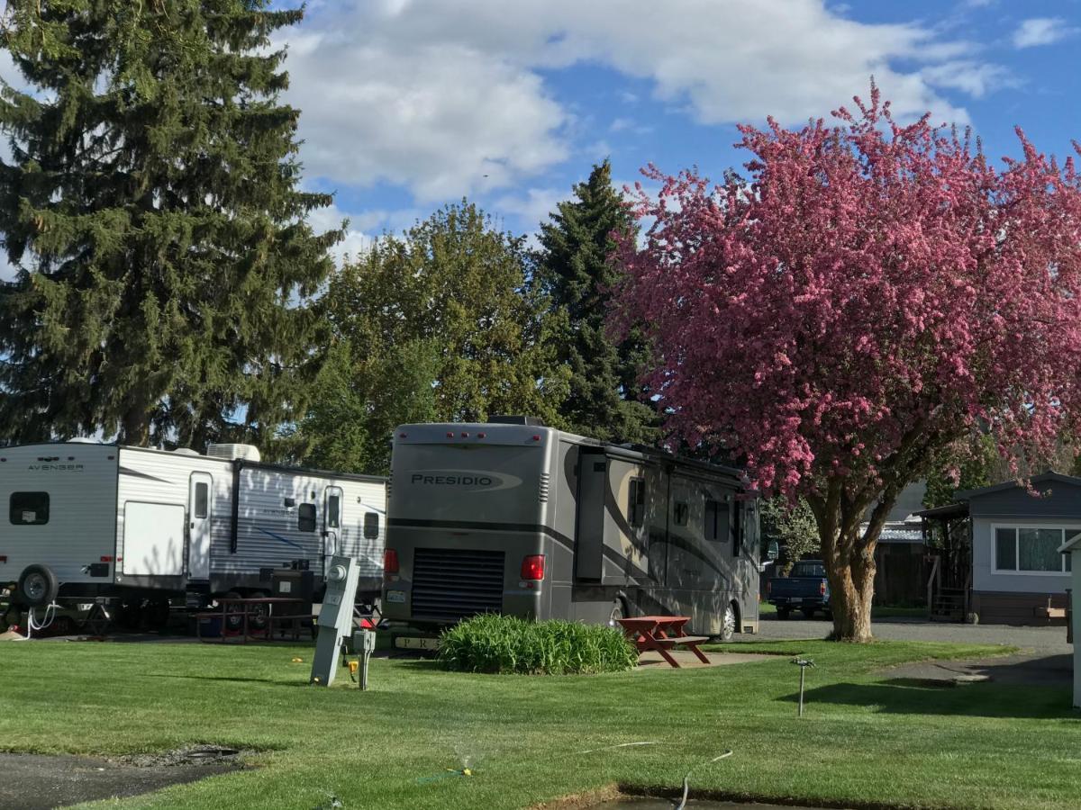 Goose Creek Rv Park & Campground Wilbur Kültér fotó